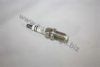 AUTOMEGA 100000033101AA Spark Plug